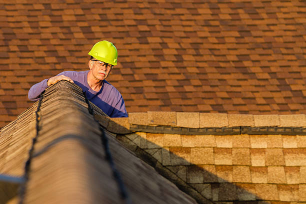 Best Roof Repair Specialists  in Townsend, DE