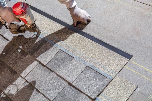 Best Storm Damage Roof Repair  in Townsend, DE