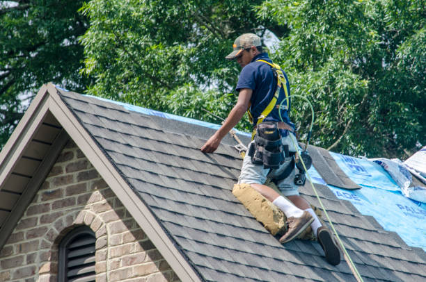 Quick and Trustworthy Emergency Roof Repair Services in Townsend, DE